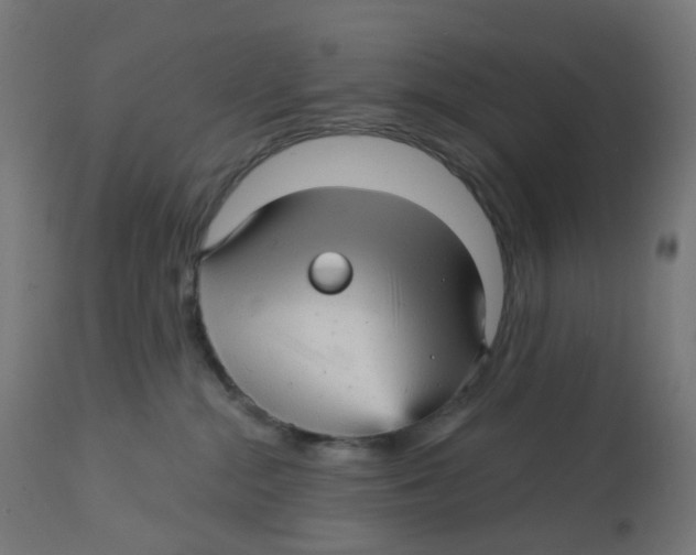 X0000112760284200909171257