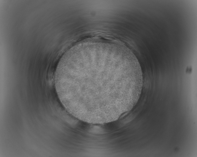 X0000112760285200909171257