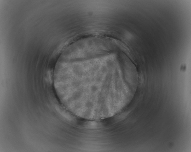 X0000112760286200909171257