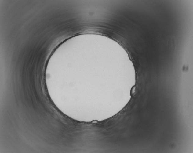 X0000112760289200909171256