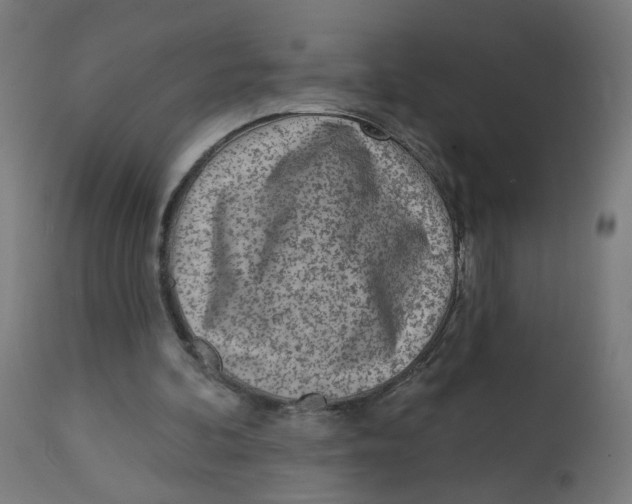 X0000112760292200909171256