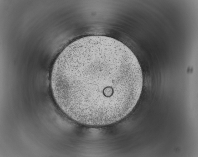 X0000112760302200909171256