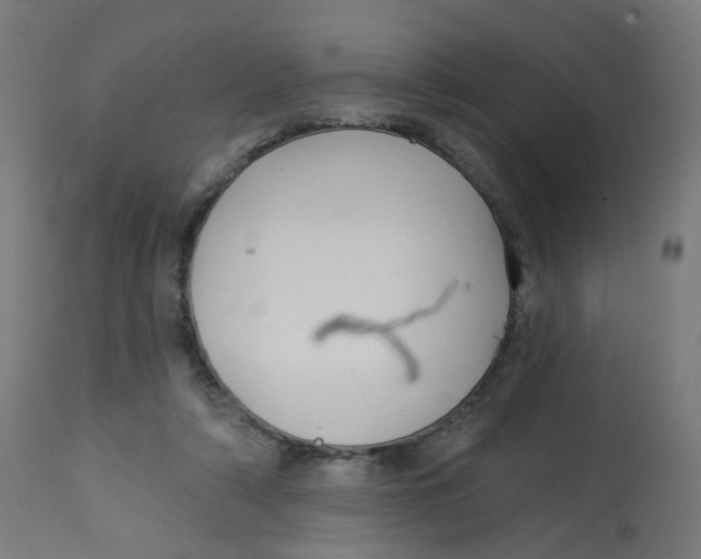 X0000112760306200909171255