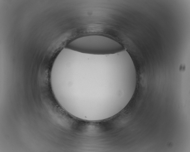 X0000112760308200909171255