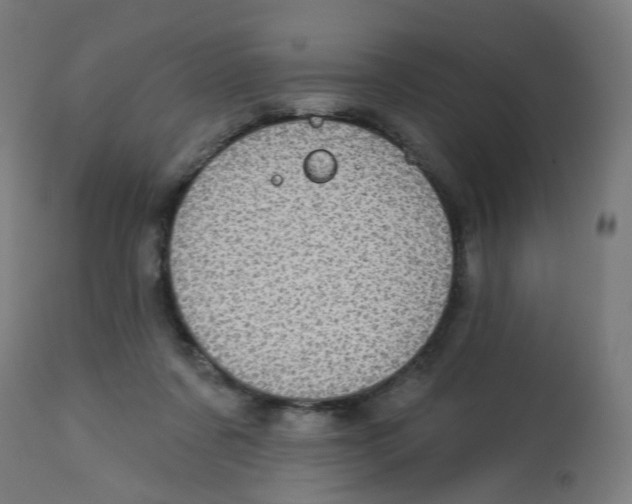 X0000112760311200909171255