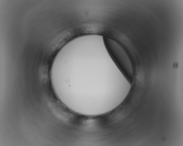 X0000112760312200909171255