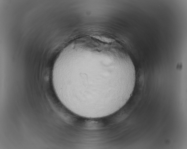 X0000112760315200909171255