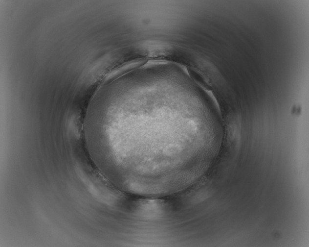 X0000112760316200909171255
