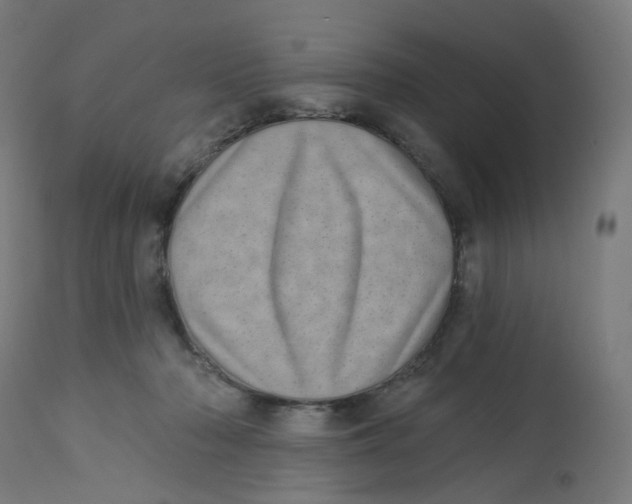 X0000112760318200909171255