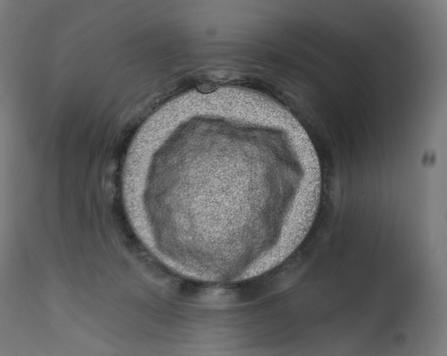 X0000112760319200909171255