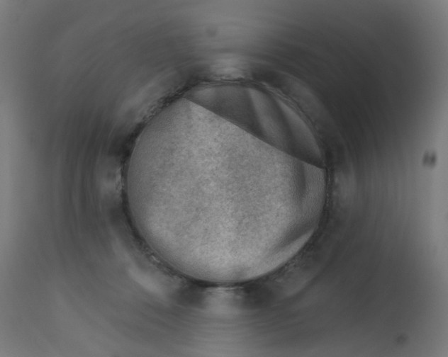 X0000112760320200909171255
