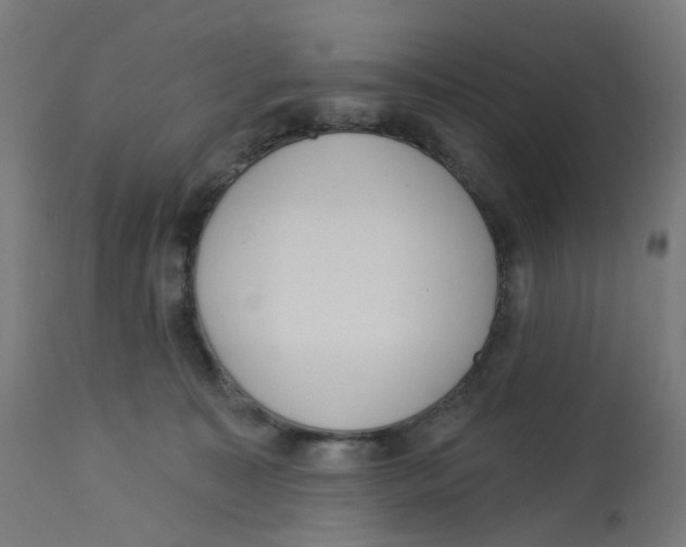 X0000112760323200909171255