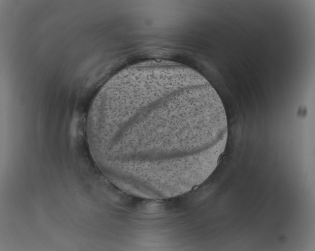 X0000112760325200909171255