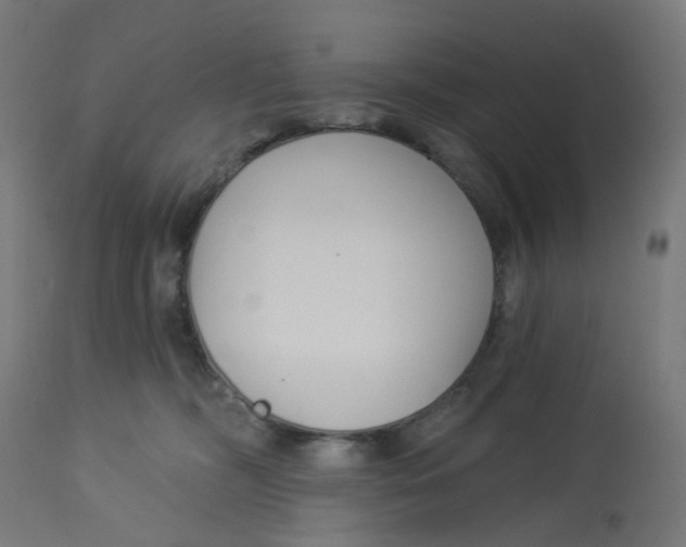 X0000112760326200909171255