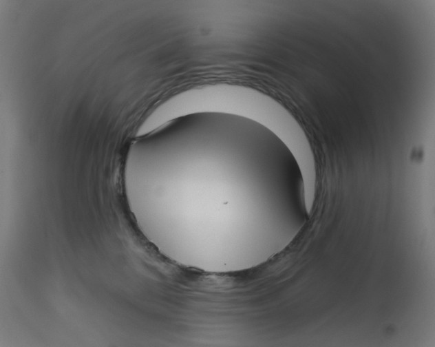 X0000112760328200909171255