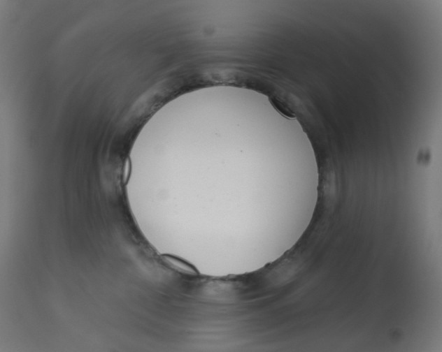 X0000112760332200909171255