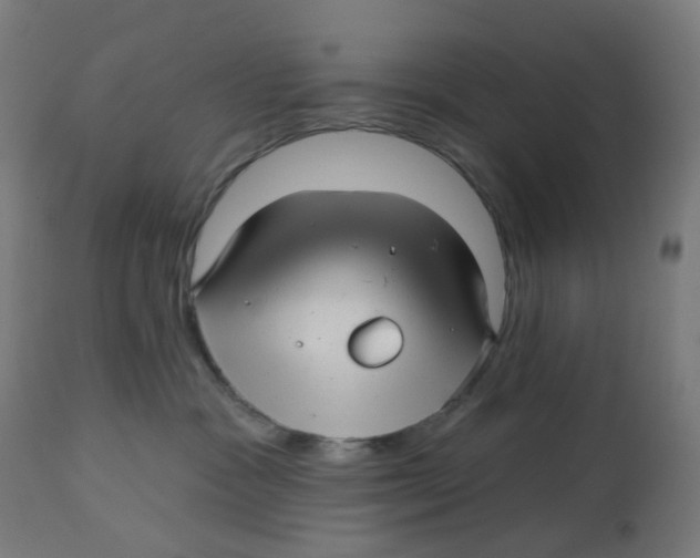 X0000112760333200909171255