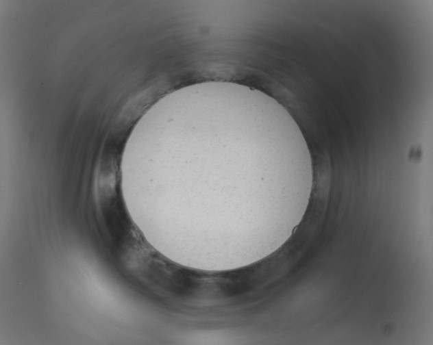 X0000112760334200909171255