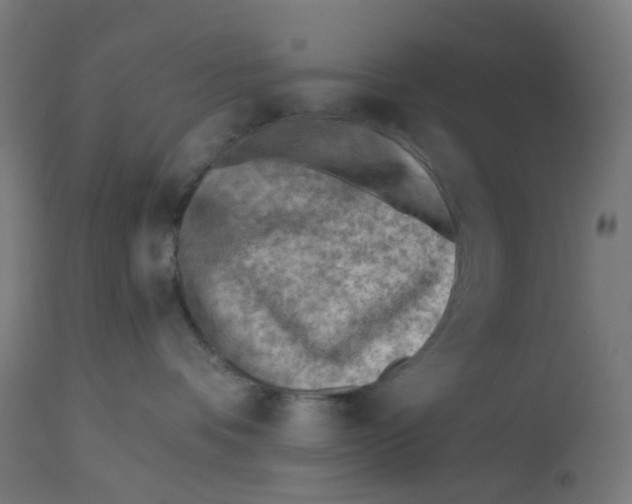 X0000112760336200909171255