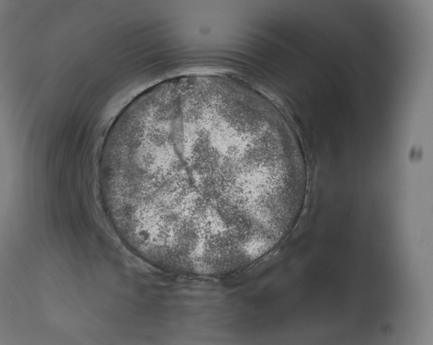 X0000112760337200909171254