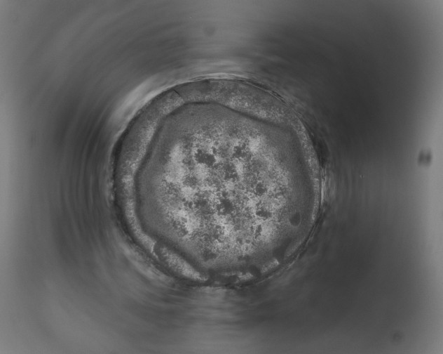 X0000112760339200909171254