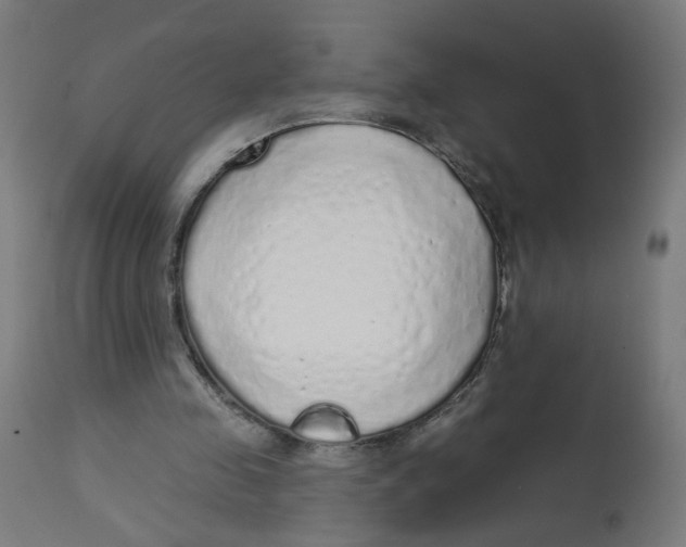 X0000112760341200909171254