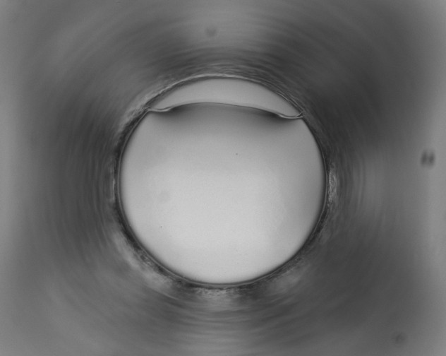 X0000112760349200909171255