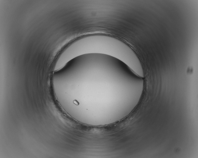 X0000112760350200909171255