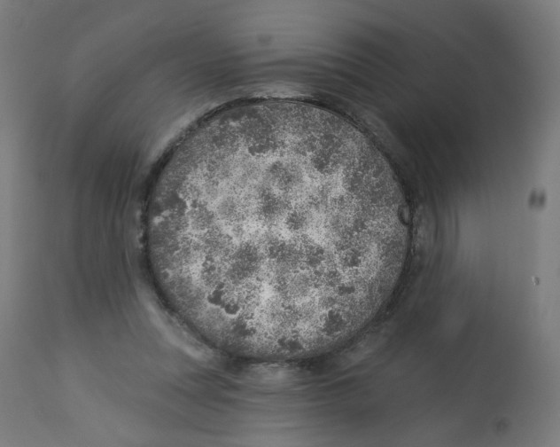 X0000112760351200909171255