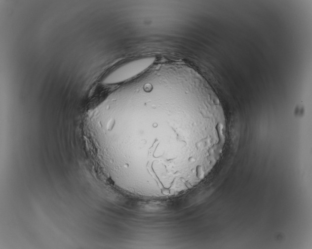 X0000112760359200909171255