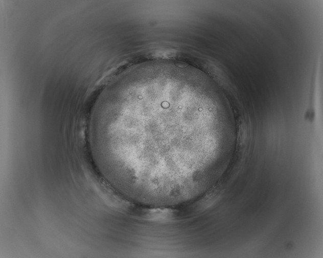X0000112760363200909171255