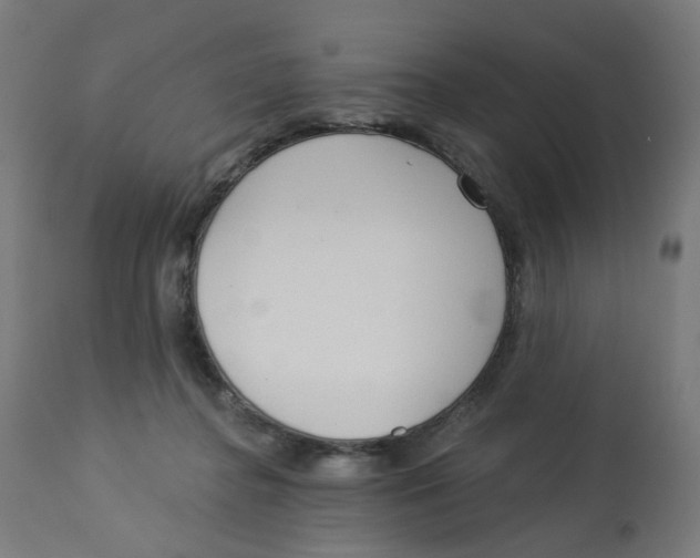X0000112760364200909171255