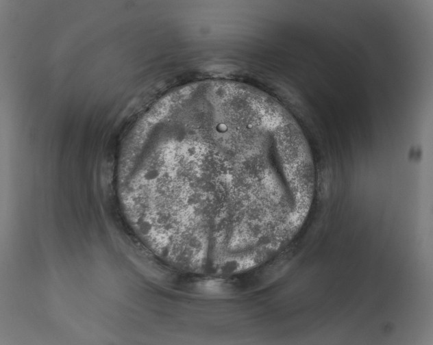 X0000112760365200909171255