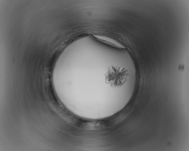 X0000112760366200909171255