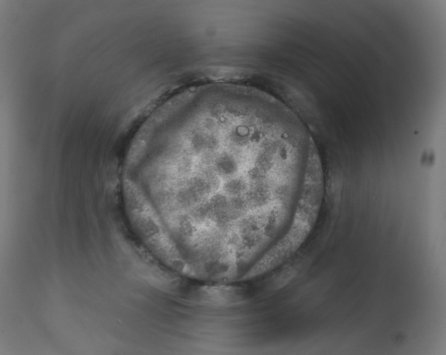 X0000112760367200909171255