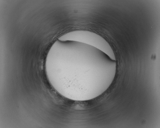 X0000112760368200909171255