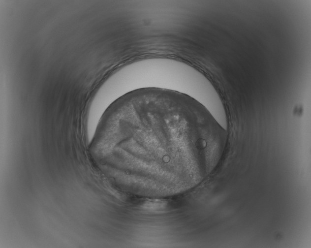 X0000112760369200909171255