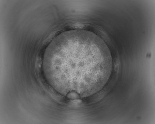 X0000112760374200909171255