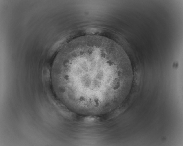 X0000112760375200909171255