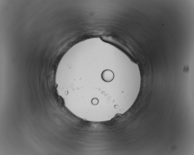 X0000112760376200909171255