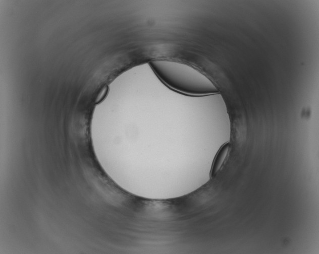 X0000112760380200909171255