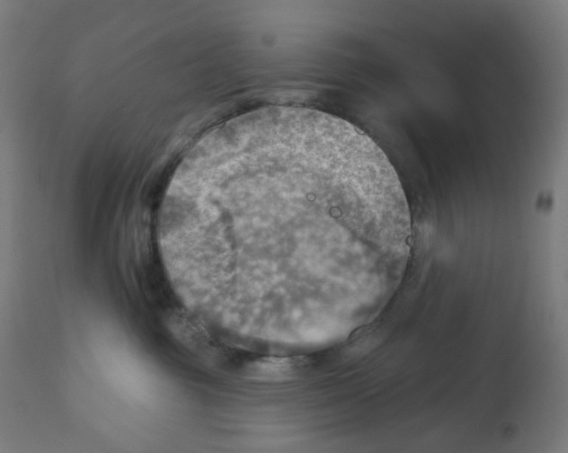 X0000112760381200909171255