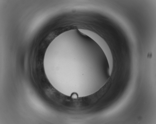 X0000112760382200909171255