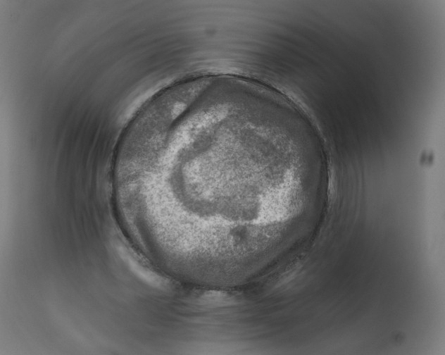 X0000112760390200909171254