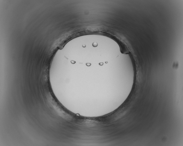 X0000112760393200909171254