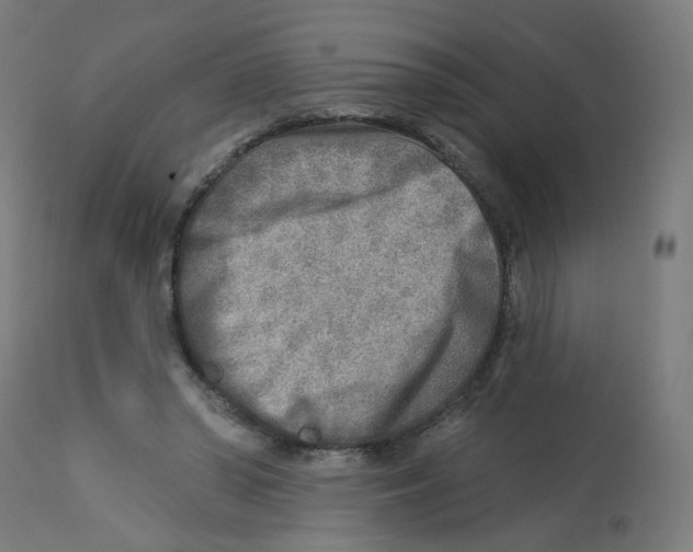 X0000112760398200909171254