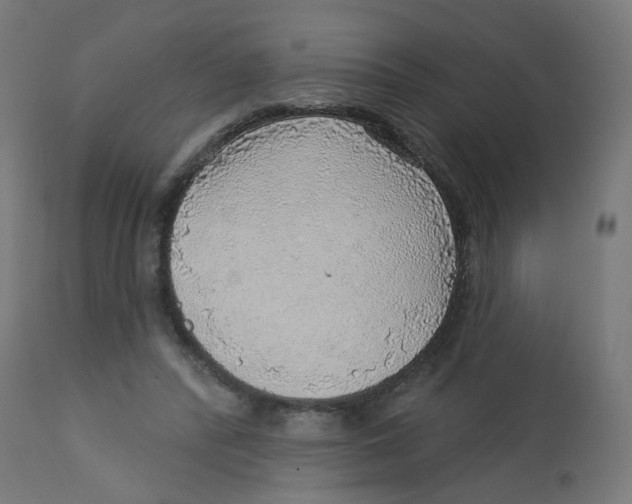X0000112760400200909171254