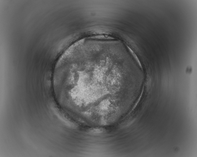 X0000112760402200909171254