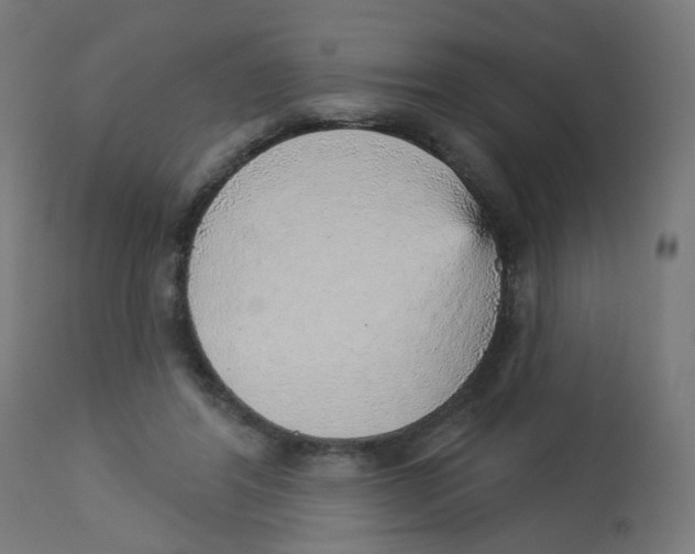 X0000112760404200909171254