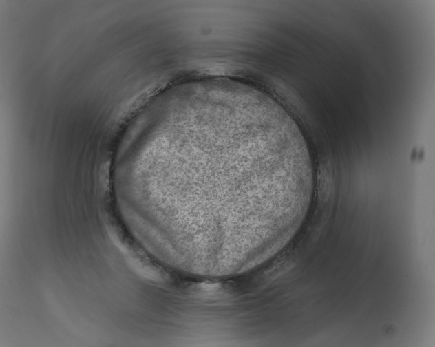 X0000112760406200909171254